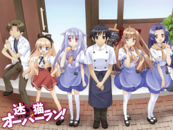 Phim Mayoi Neko Overrun! Specials